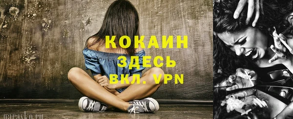 молекула духа Абинск