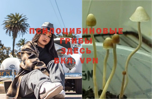 ешки Абаза