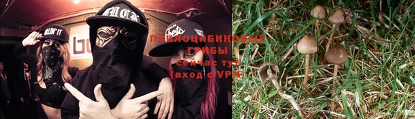 молекула духа Абинск