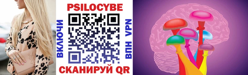купить наркоту  Хадыженск  Галлюциногенные грибы Psilocybine cubensis 